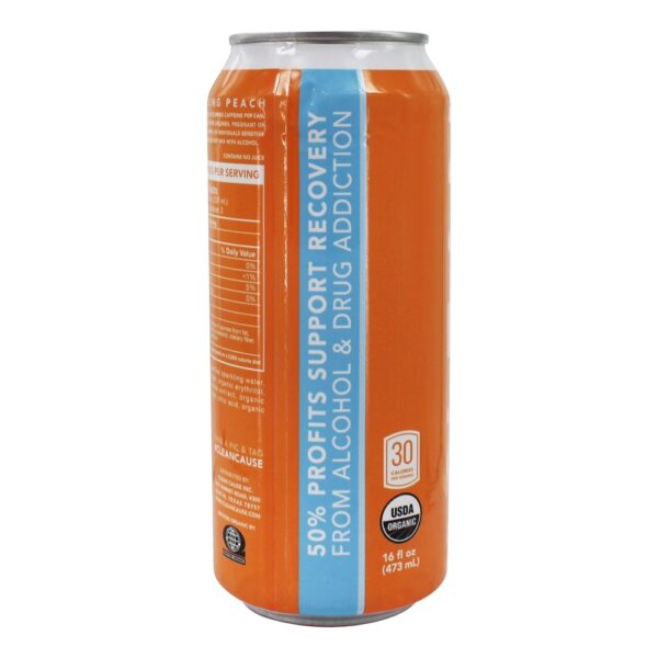 Comprar Pêssego Yerba Mate Espumante - 16 fl. oz. Clean Cause - Imagem 4