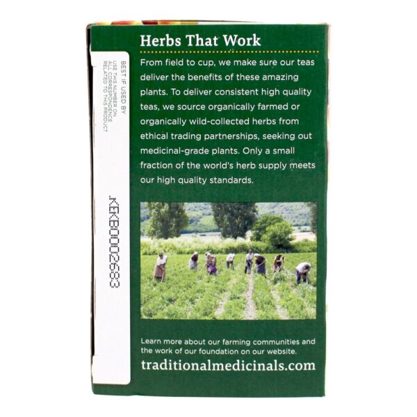 Comprar Chá Orgânico Reishi Mushroom com Rooibos e Casca de Laranja - 16 Saquinhos de Chá Traditional Medicinals - Imagem 4