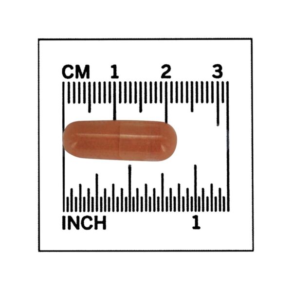 Comprar Suporte Cognitivo de Força Extra PQQ 40 mg . - 50 Cápsula (s) vegetal (s) NOW Foods - Imagem 4
