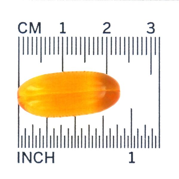 Comprar Suporte Cardiovascular do Óleo de Salmão Selvagem do Alasca 1000 mg . - 200 Softgels NOW Foods - Imagem 4