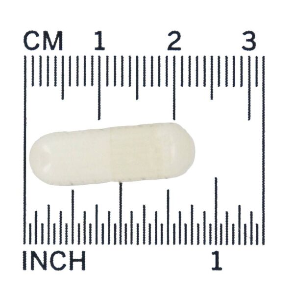 Comprar Abrilhantador da pele com glutationa com ceramosidas - 30 Cápsula (s) vegetal (s) NOW Foods - Imagem 4