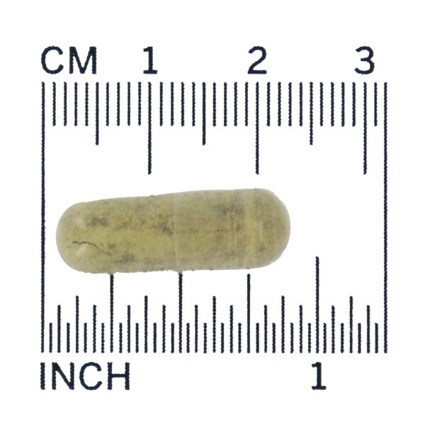 Comprar Fórmula de saúde cerebral do extrato de Bacopa 450 mg . - 90 Cápsula (s) vegetal (s) NOW Foods - Imagem 4