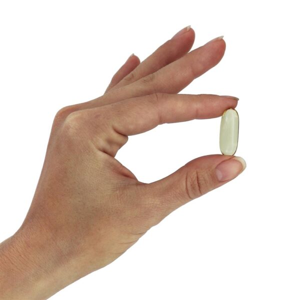 Comprar Omega - 3 180 EPA / 120 DHA - 200 Softgels NOW Foods - Imagem 5