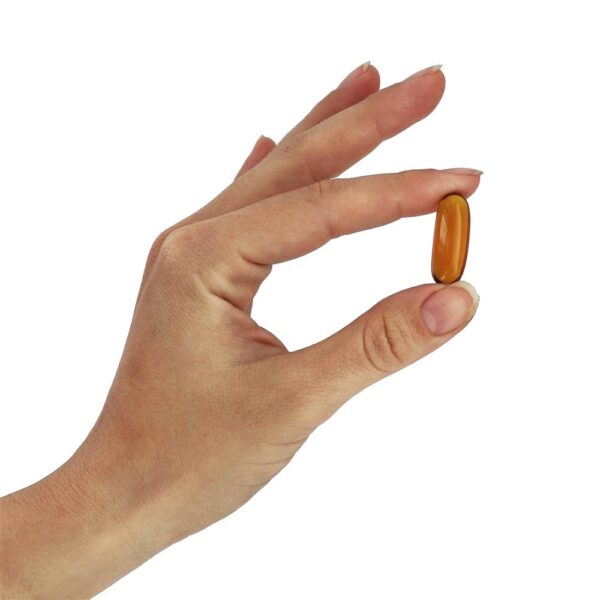 Comprar Suporte cardiovascular de óleo de semente de cominho preto 1000 mg . - 60 Softgels NOW Foods - Imagem 5