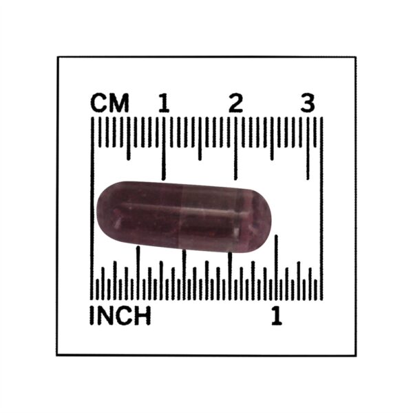 Comprar Extrato de sabugueiro 500 mg. - 120 Cápsula (s) vegetal (s) NOW Foods - Imagem 4