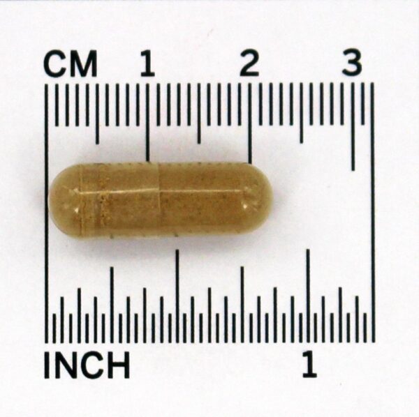 Comprar Fo-Ti Suplemento Herbal - Ho Shou Wu 560 mg. - 100 Cápsula (s) vegetal (s) NOW Foods - Imagem 4