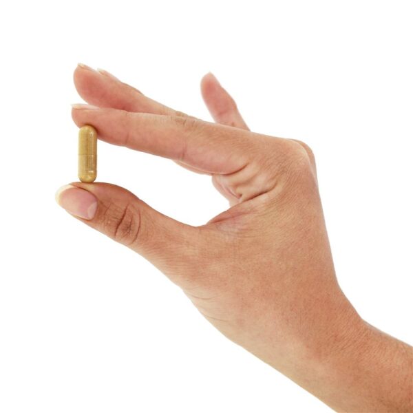 Comprar Coq10 para Saúde Cardiovascular com Pilriteiro 100 mg. - 90 Cápsula (s) vegetal (s) NOW Foods - Imagem 5