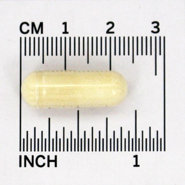 Comprar Colostro 500 mg. - Cápsulas 120 NOW Foods - Imagem 4