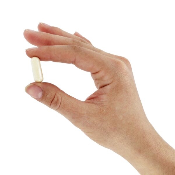Comprar Colostro 500 mg. - Cápsulas 120 NOW Foods - Imagem 5