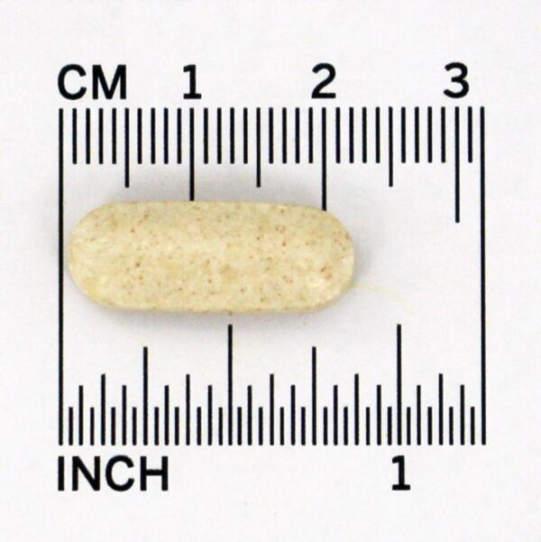 Comprar Pancreatina 1000 mg. - 60 Tablets Natures Plus - Imagem 4