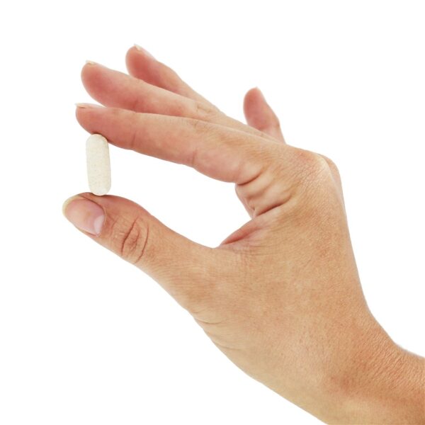 Comprar Pancreatina 1000 mg. - 60 Tablets Natures Plus - Imagem 5