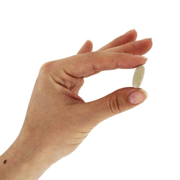 Comprar Saúde Pulmonar, Brônquica & Nasal - 90 Tablets Natural Factors - Imagem 5