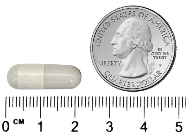 Comprar NerveFix - Cápsulas 60 NaturalCare - Imagem 5