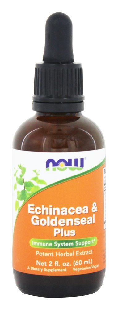 Comprar Echinacea & Goldenseal Mais Potente De ervas Extrair - 2 fl. oz. NOW Foods
