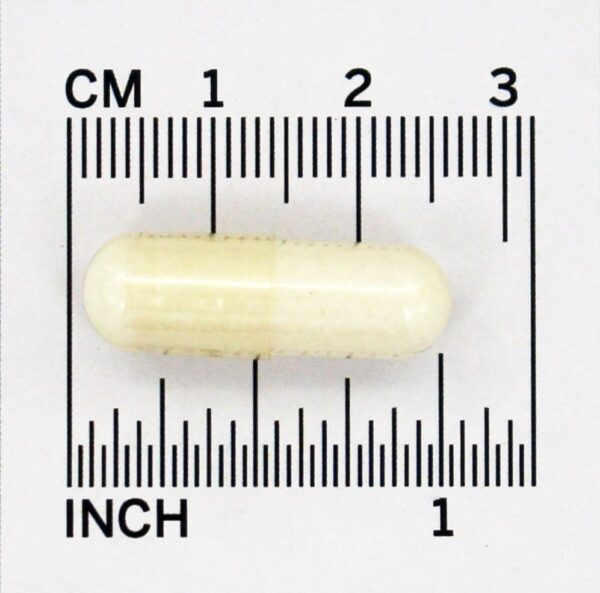 Comprar Hidroxiapatita de Cálcio 250 mg. - Cápsulas 120 NOW Foods - Imagem 4