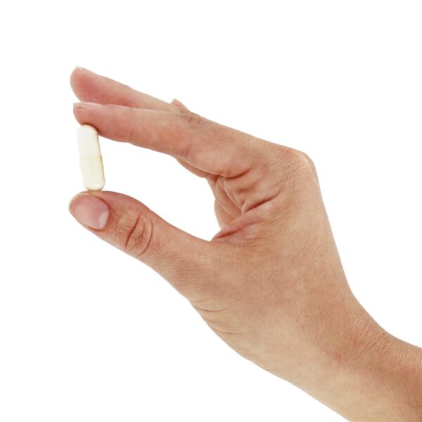 Comprar Hidroxiapatita de Cálcio 250 mg. - Cápsulas 120 NOW Foods - Imagem 5