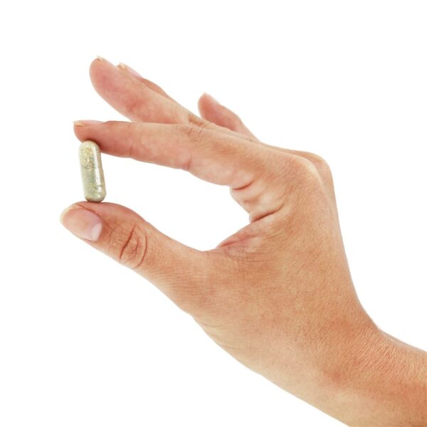 Comprar Eco-Verde Múltiplas com Verde Superfood Ferro-Livre - Cápsulas vegetarianas 180 NOW Foods - Imagem 5