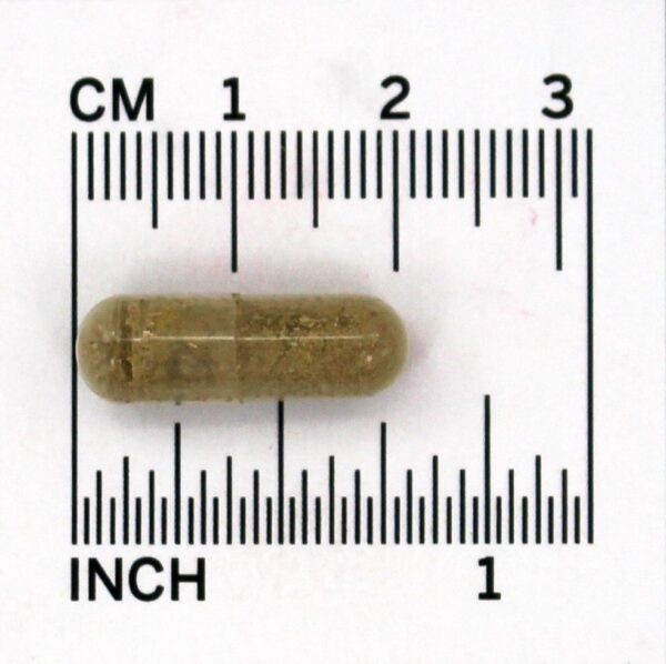 Comprar Carrapito com Feverfew - Cápsulas vegetarianas 60 NOW Foods - Imagem 4