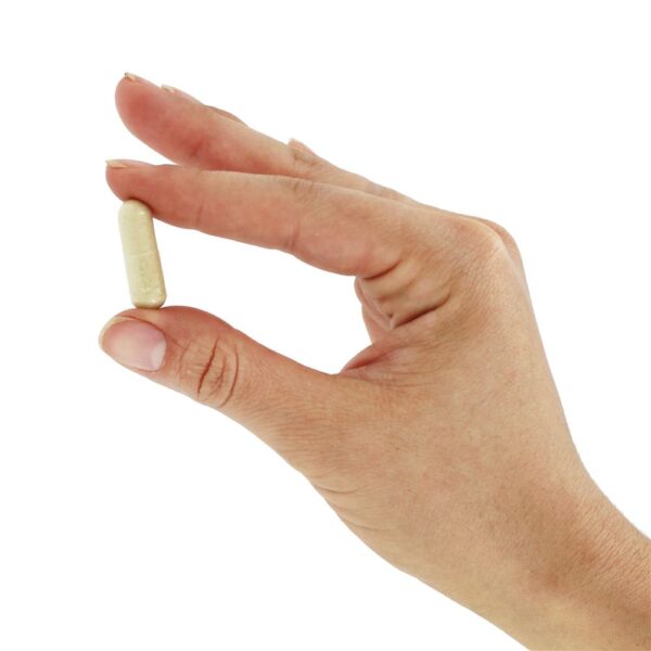 Comprar C1000 com 100mg de bioflavanoides e rutina - Cápsulas 500 NOW Foods - Imagem 5