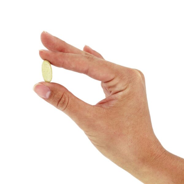 Comprar Ultra-Zyme - 180 Tablets Natures Plus - Imagem 5