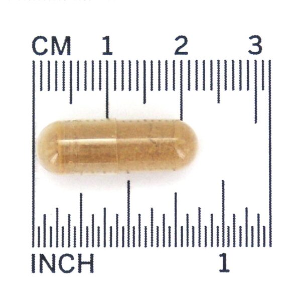 Comprar Força dupla de Gingko Biloba 120 mg . - 100 Cápsula (s) vegetal (s) NOW Foods - Imagem 4