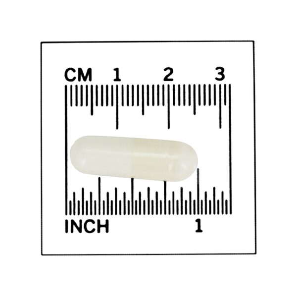 Comprar L-Arginina 500 mg. - Cápsulas 100 NOW Foods - Imagem 4