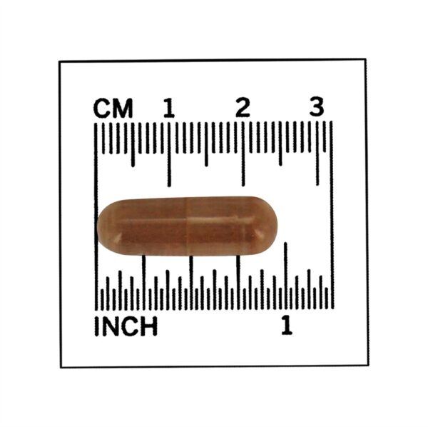 Comprar Garra de Gato (Uña de Gato) 500 mg . - 100 Cápsula (s) vegetal (s) NOW Foods - Imagem 4