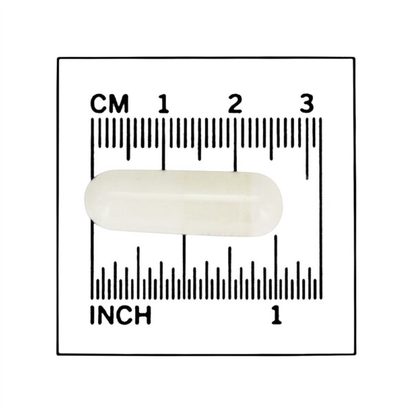 Comprar L-Citrulina 750 mg . - 90 Cápsula (s) vegetal (s) NOW Foods - Imagem 4