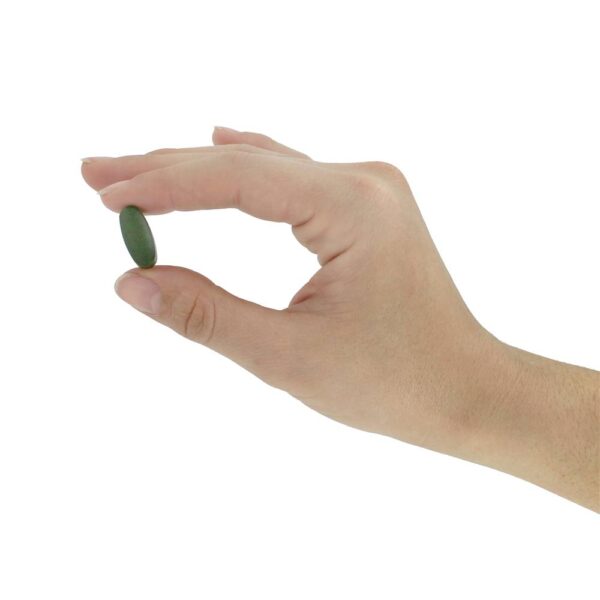 Comprar Chlorella 1000 mg. - 120 Tablets NOW Foods - Imagem 5