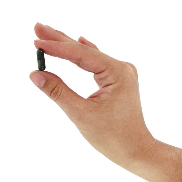 Comprar Clorofila 100 mg . - 90 Cápsula (s) vegetal (s) NOW Foods - Imagem 5
