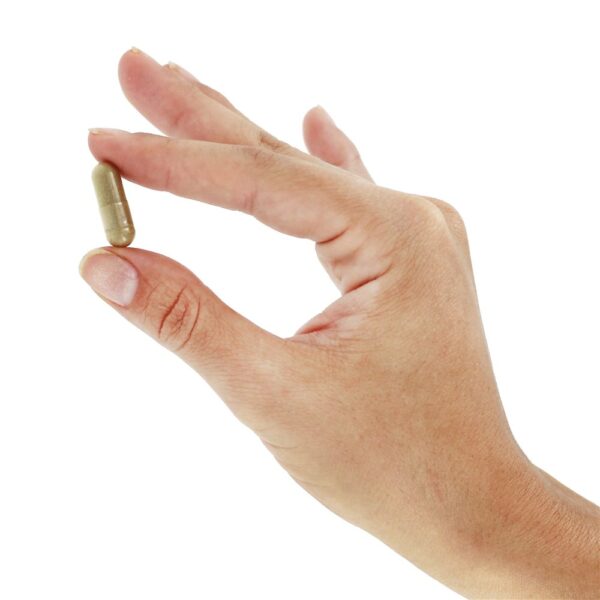 Comprar Colon Clenz - Cápsulas 120 Natural Balance - Imagem 6