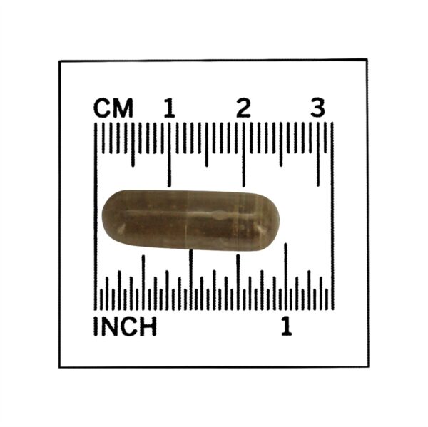 Comprar Gotu Kola 450 mg. - 100 Cápsula (s) vegetal (s) NOW Foods - Imagem 4