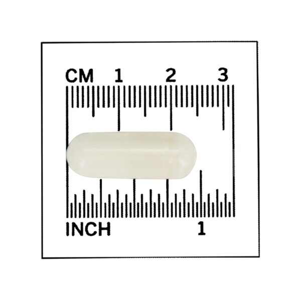 Comprar Força dupla sem niacina 500 mg. - 90 Cápsula (s) vegetal (s) NOW Foods - Imagem 4