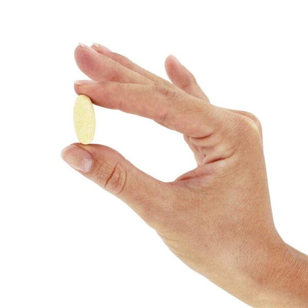 Comprar Magnésio 500 mg. - 60 Tablets Kal - Imagem 6