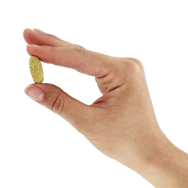 Comprar Adulto ativo 50 + multivitamínico - 90 Tablets Rainbow Light - Imagem 5