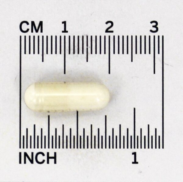 Comprar Suplemento probiótico de Kyo-Dophilus 9 - Cápsulas 90 Kyolic - Imagem 4