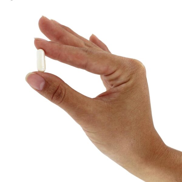 Comprar Suplemento probiótico de Kyo-Dophilus 9 - Cápsulas 90 Kyolic - Imagem 5