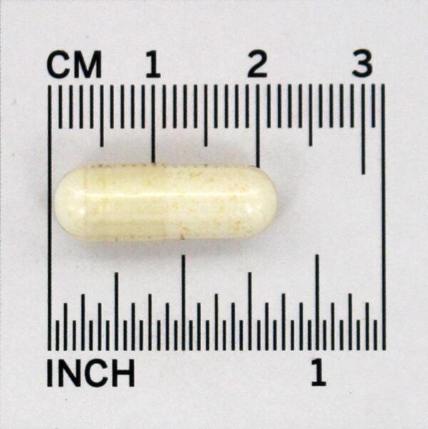 Comprar PB 8 Probiótico Acidófilo 14 Bilhões de UFC - Cápsulas 60 Nutrition Now - Imagem 4