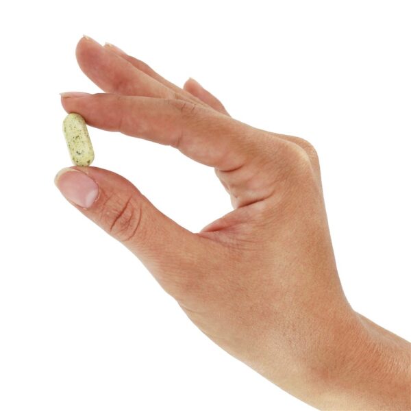 Comprar Envelhecimento Saudável com Fator NT - 120 Tablets Nutritional Therapeutics - Imagem 6