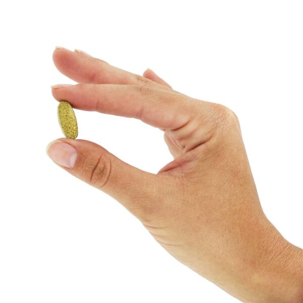 Comprar Complexo B Completo - 90 Tablets Rainbow Light - Imagem 5