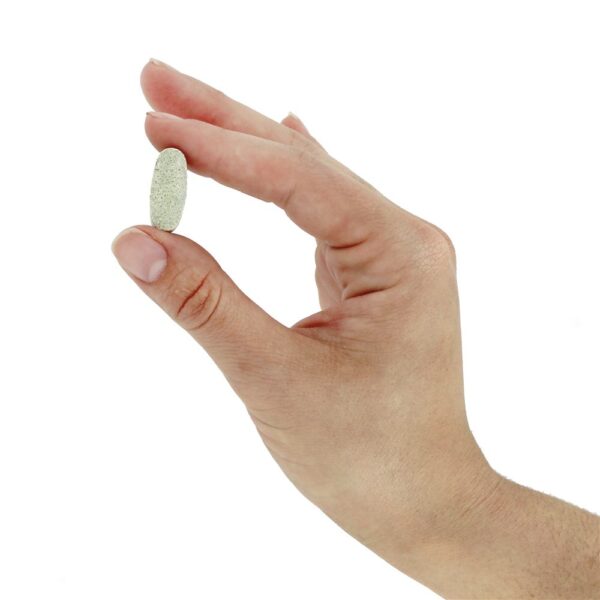 Comprar Cálcio à base de alimentos - 180 Tablets Rainbow Light - Imagem 5