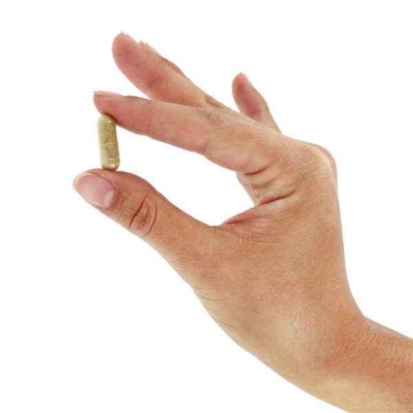 Comprar Extrato Padronizado de Cardo de Leite - Cápsulas Vegan 120 Nature's Way - Imagem 5