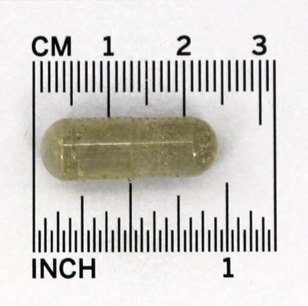 Comprar Alimentador de alimento inteiro vivo Multi-Vitamina - Cápsulas vegetarianas 90 Nature's Way - Imagem 5