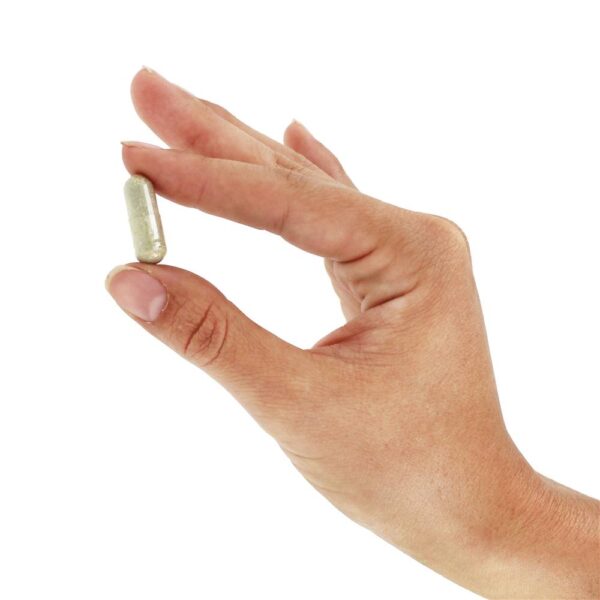 Comprar Alimentador de alimento inteiro vivo Multi-Vitamina - Cápsulas vegetarianas 90 Nature's Way - Imagem 6