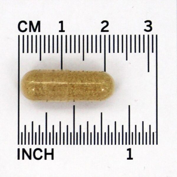 Comprar Extrato de palha de aveia da Avena Sativa 350 mg. - Cápsulas 100 Solaray - Imagem 4