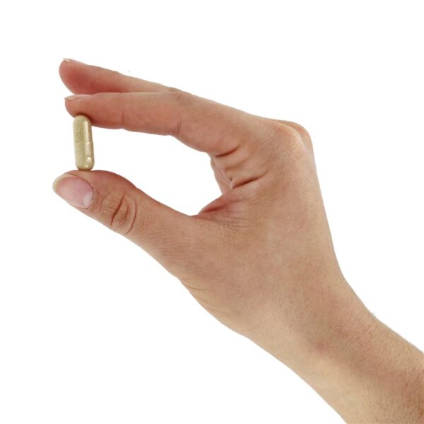 Comprar Extrato de palha de aveia da Avena Sativa 350 mg. - Cápsulas 100 Solaray - Imagem 5