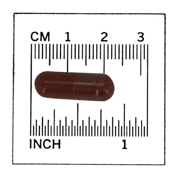 Comprar Arroz de fermento vermelho 600 mg. - 60 Cápsula (s) vegetal (s) NOW Foods - Imagem 4