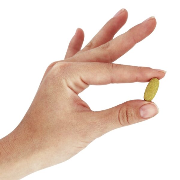 Comprar Suporte Respiratório-Todo Respiratório - 60 Tablets (anteriormente suporte a alergia) NOW Foods - Imagem 5