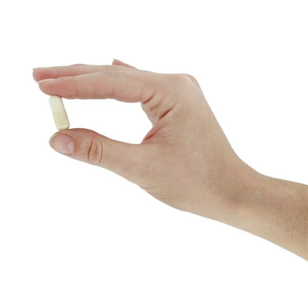 Comprar Tipo de colágeno 2 Complexo articular 2.4 g. - Cápsulas 120 NeoCell - Imagem 5