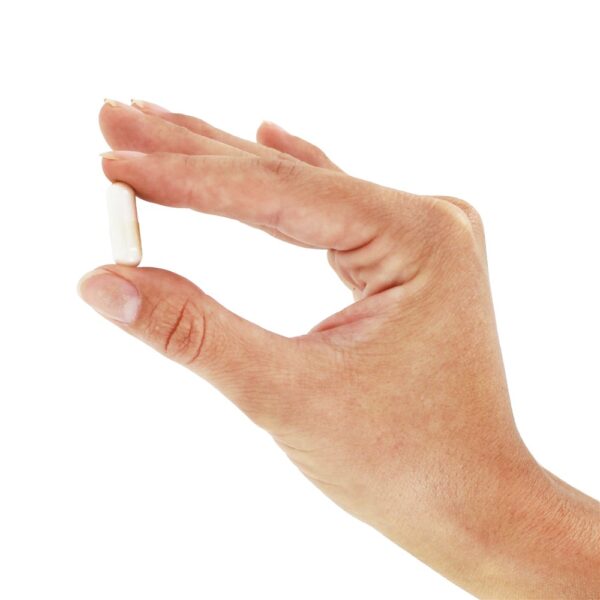Comprar Niacina 100 mg. - Cápsulas 100 Nature's Way - Imagem 5